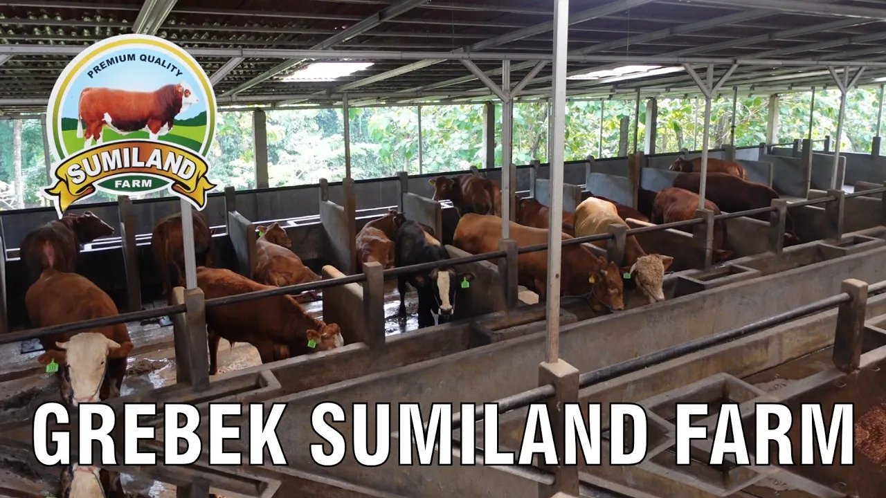 
                                 Grebek-Sumiland-Farm